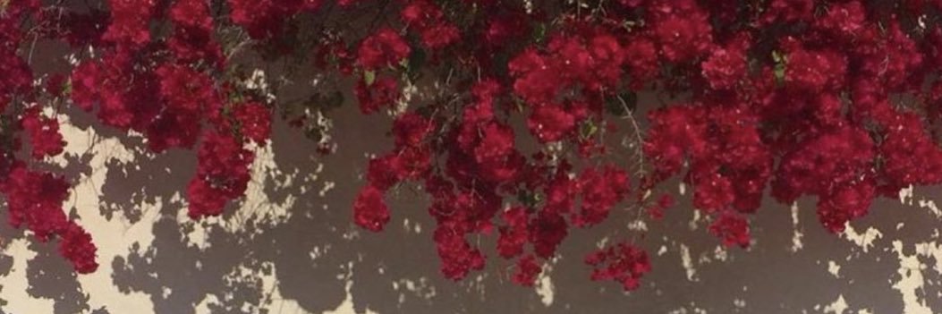 irsab__'s profile banner image