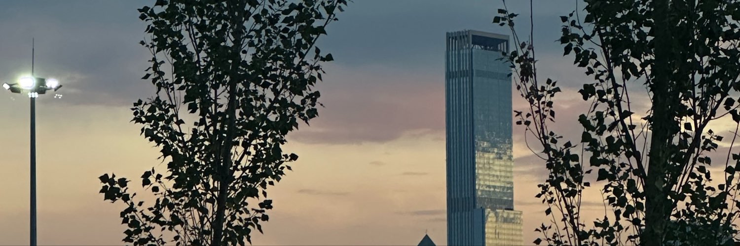 sowhtsurproblem's profile banner image