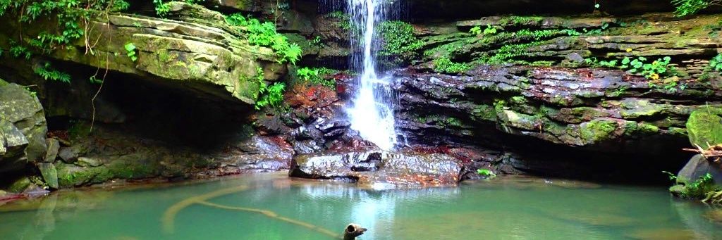 ばんのー #ハッカソン 屋さん banner