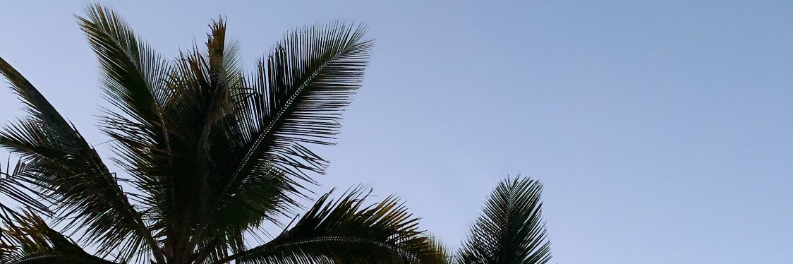 Irene Altabás banner