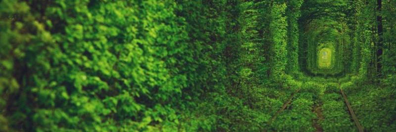 Ivan_chumak's profile banner image
