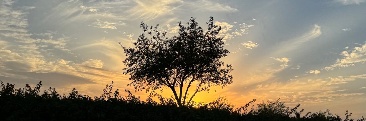PThatoon's profile banner image