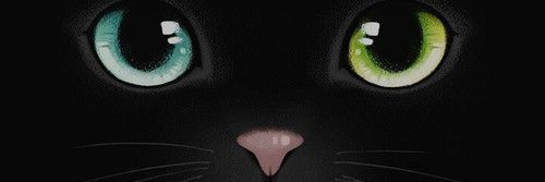 Miss_sash21's profile banner image
