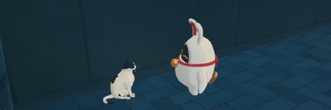 tom_fox9's profile banner image