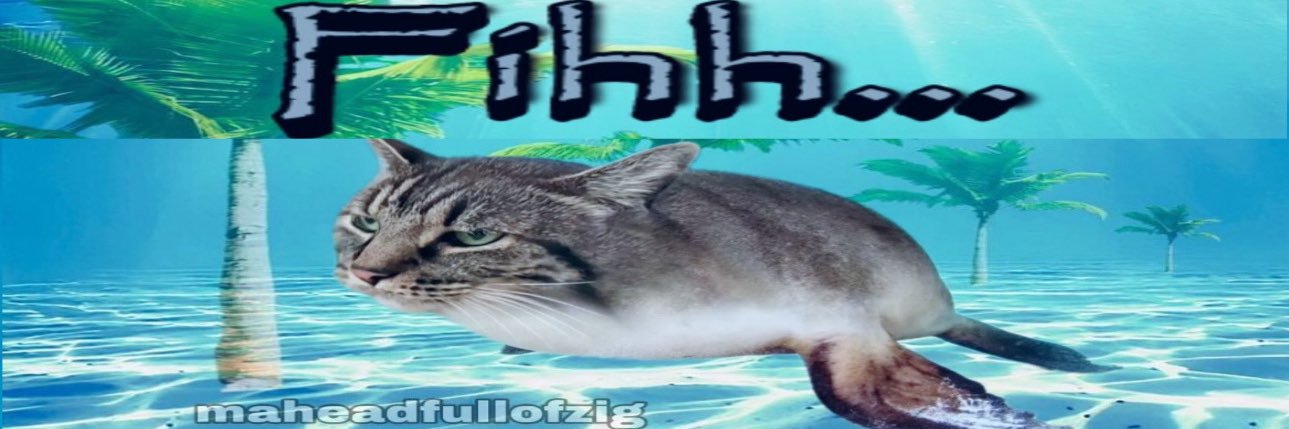 fihh ྀི🦭 banner