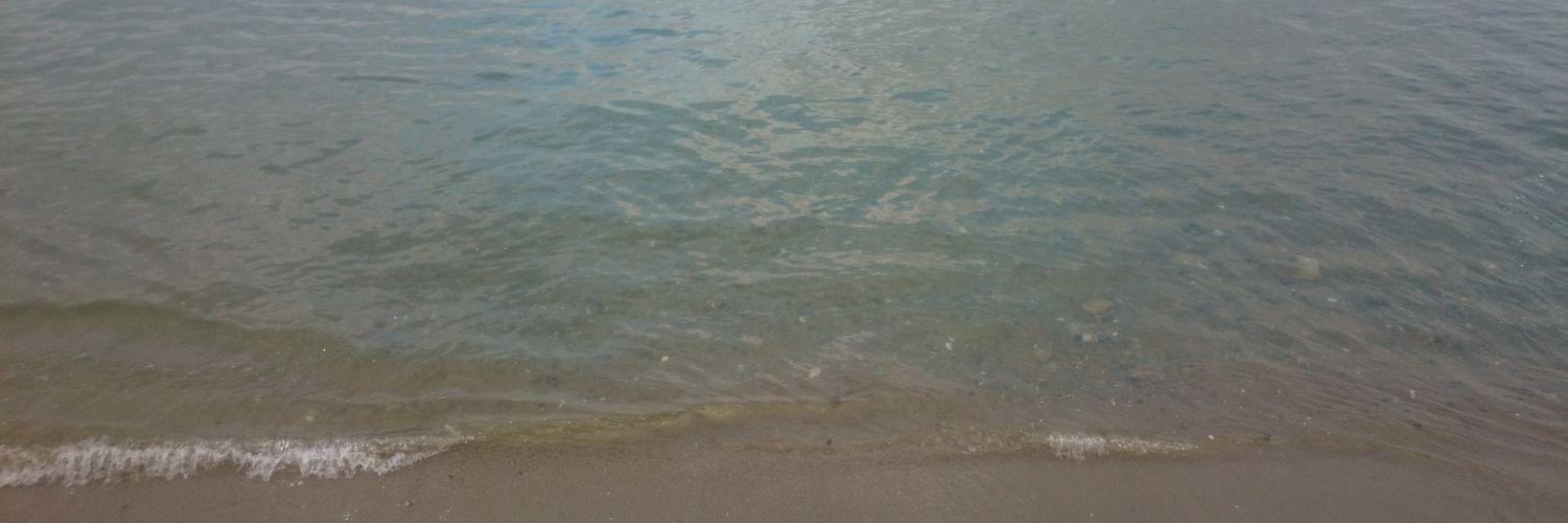 t_848_owl's profile banner image