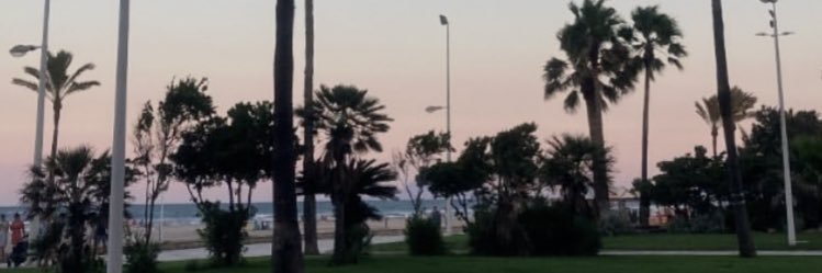 marlinrg's profile banner image