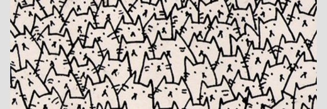 pali_castro's profile banner image
