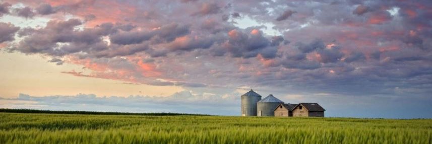 Jason Plummer 🇺🇲 banner