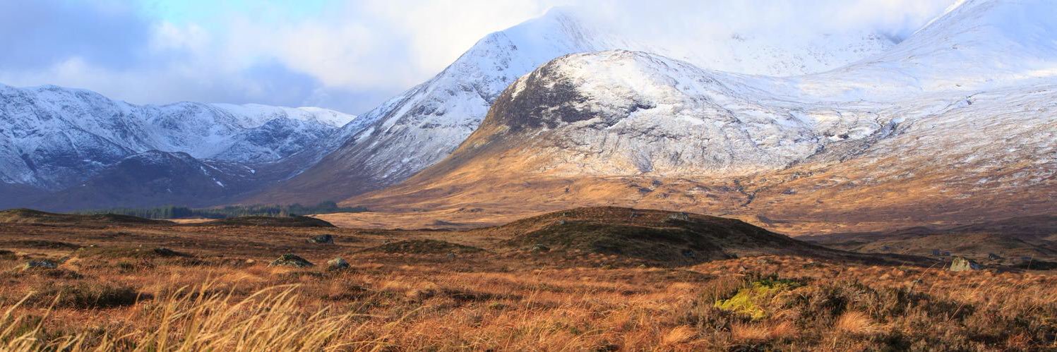 Spoons in a socket 🏴󠁧󠁢󠁳󠁣󠁴󠁿 banner