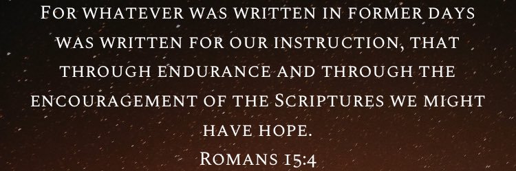 Biblical Reply Guy banner