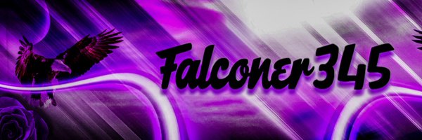 falconer345 Profile Banner