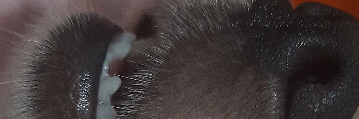 LtlSUMMER's profile banner image