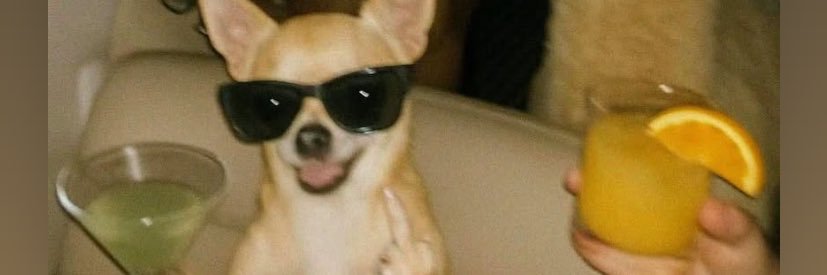 nutellasp_'s profile banner image