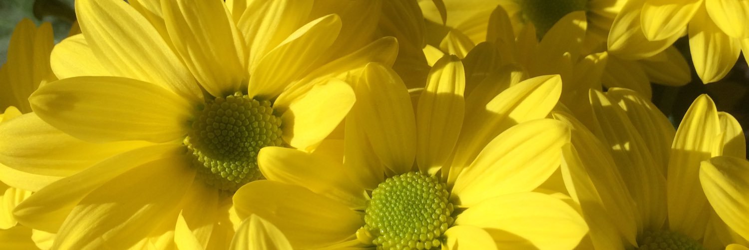 mluzg's profile banner image