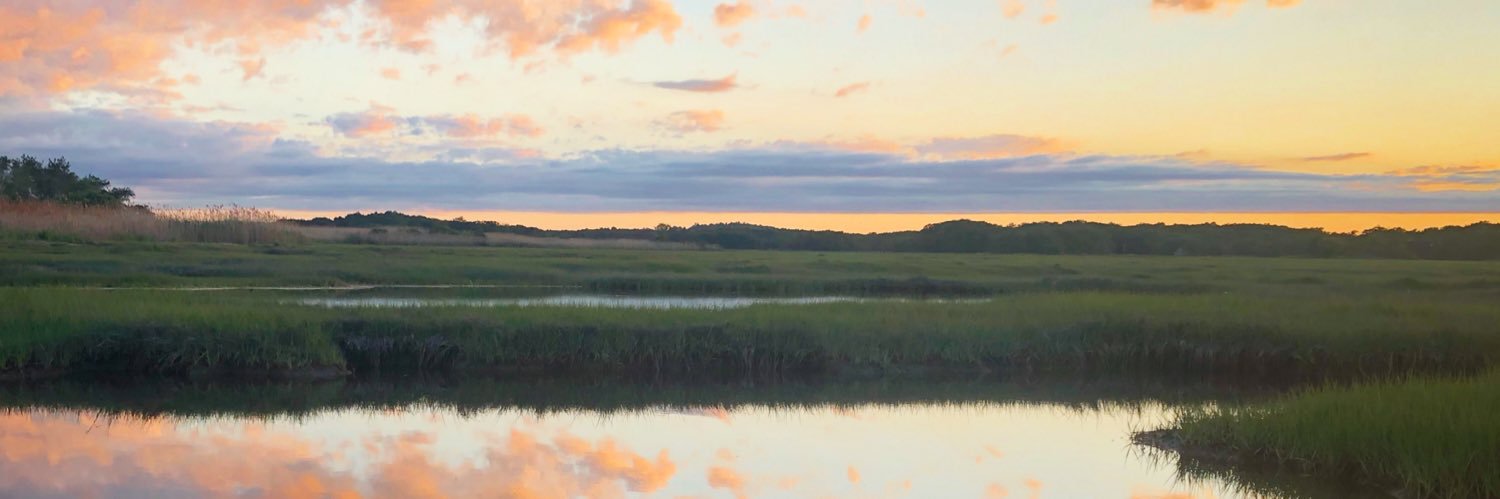 Patrick Sheridan-Rossi banner