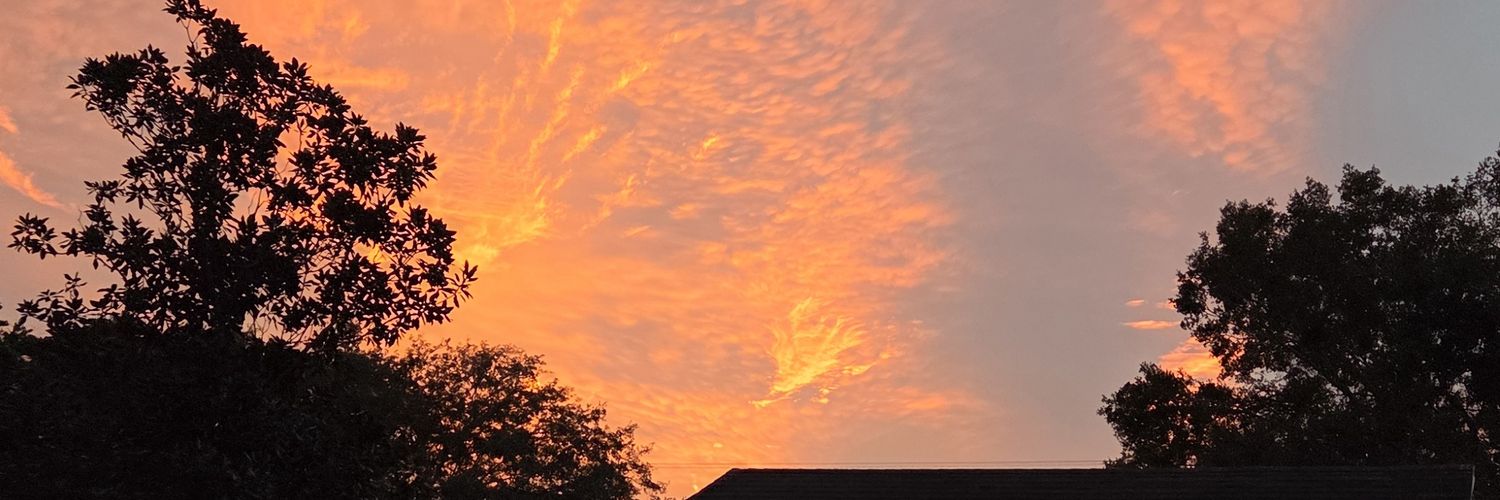 kingnothing 🩹💢 🔜 Juicy Jamboree banner