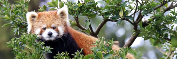 takealien Profile Banner