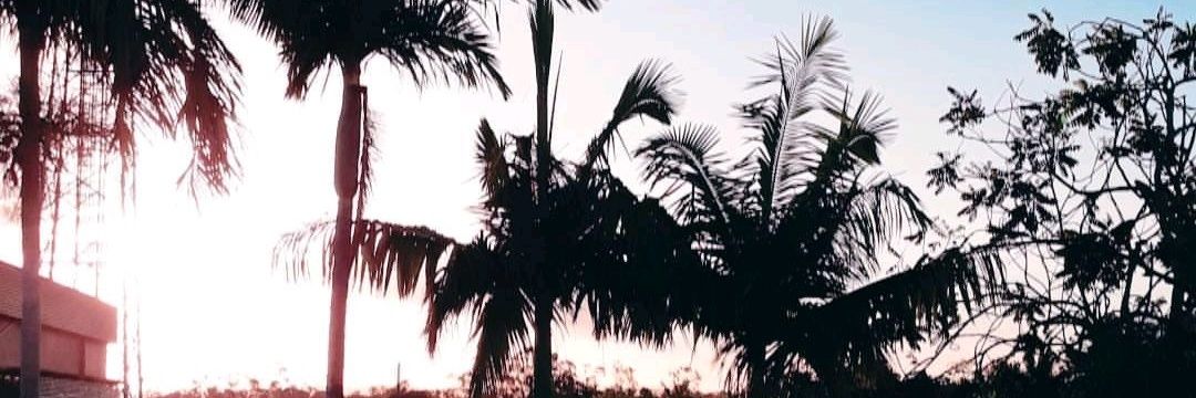 harryhiiz's profile banner image