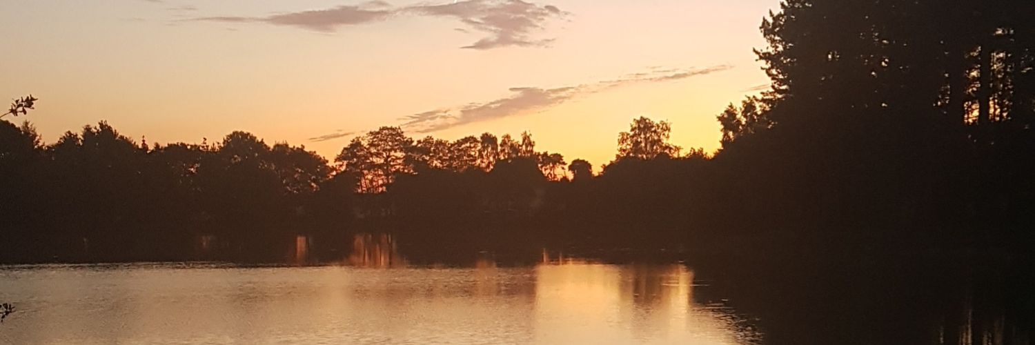 Anaiscoue's profile banner image