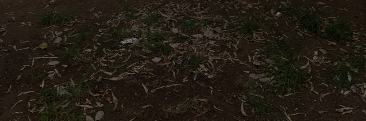 secr_et_'s profile banner image
