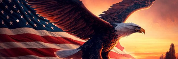 EagleInTheCloud Profile Banner
