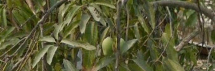 Binar Ilmu banner