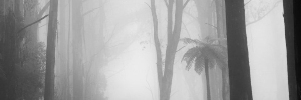 Damian.diviny.photoart banner