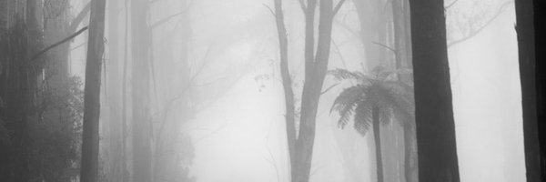 DamianDiviny Profile Banner