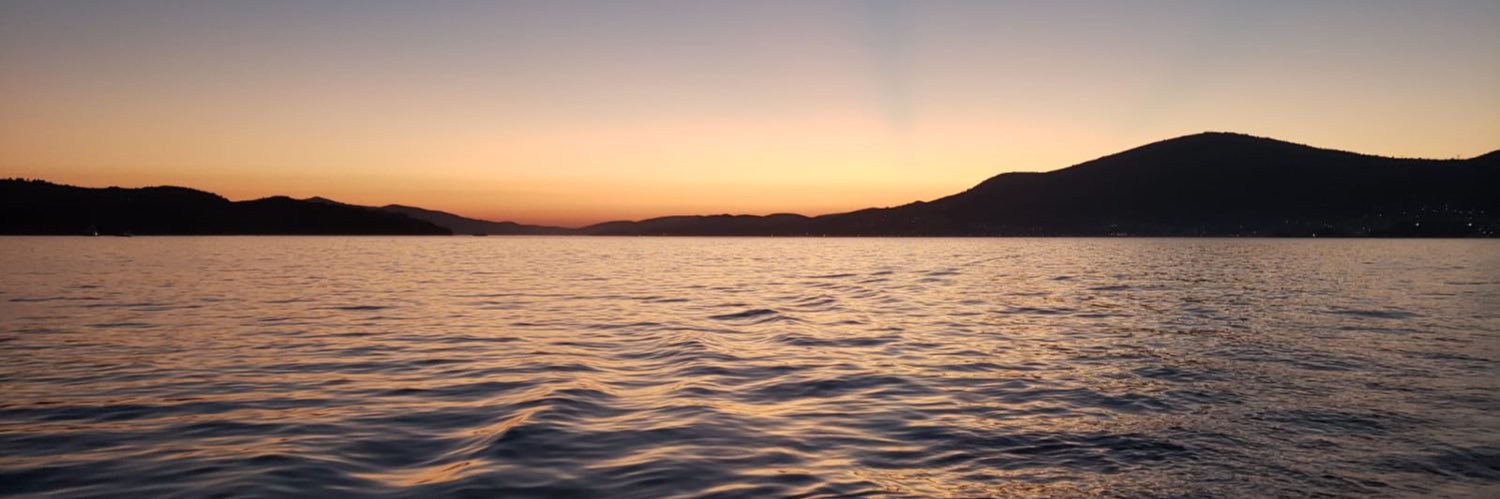 Dunja Froman banner