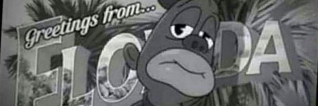 El_Donnell's profile banner image