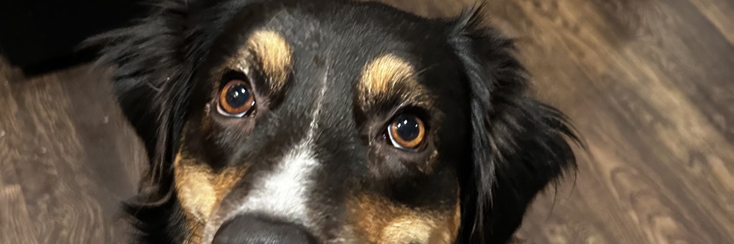 Smith_Stormie's profile banner image