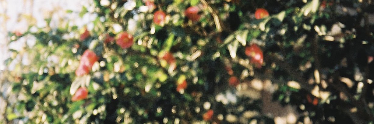 o_beeeko's profile banner image
