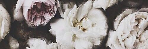 Margarette_G's profile banner image