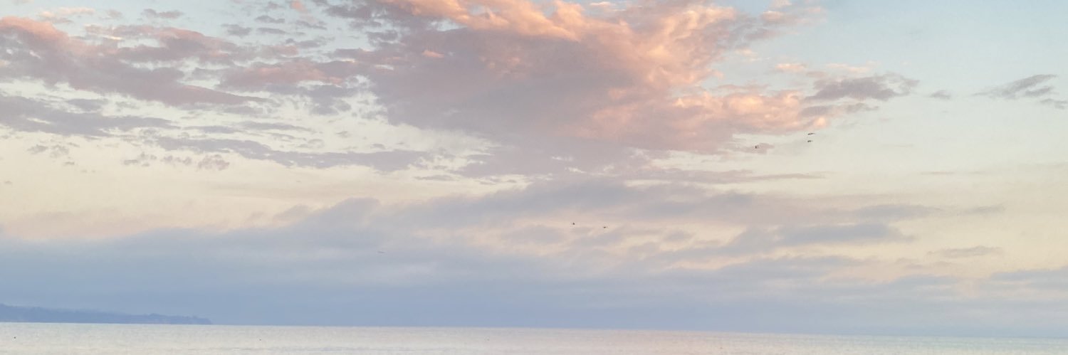 Becky Chen banner