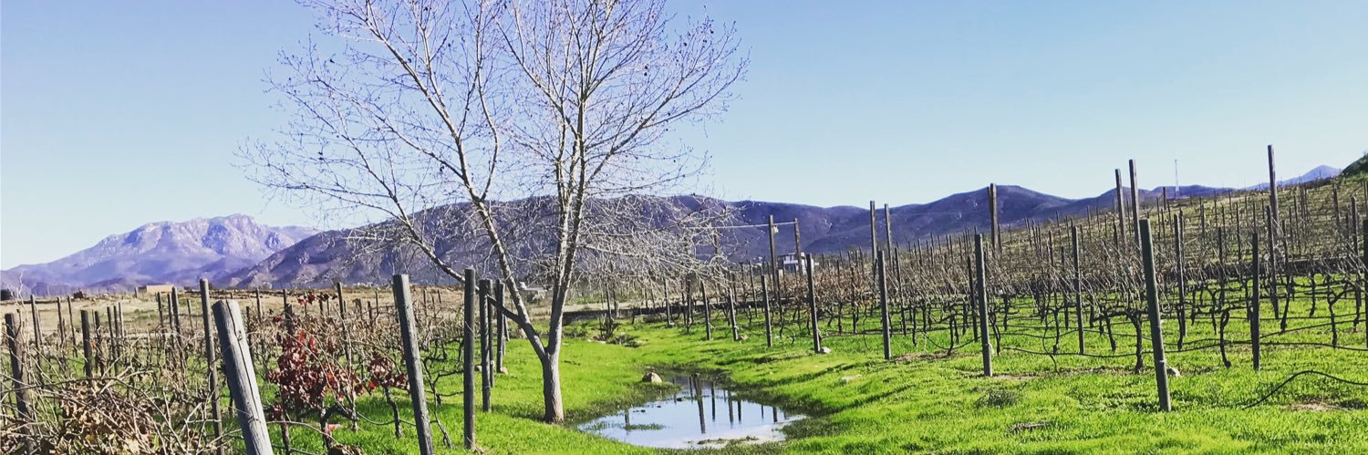 Fernando Pérez Castro banner