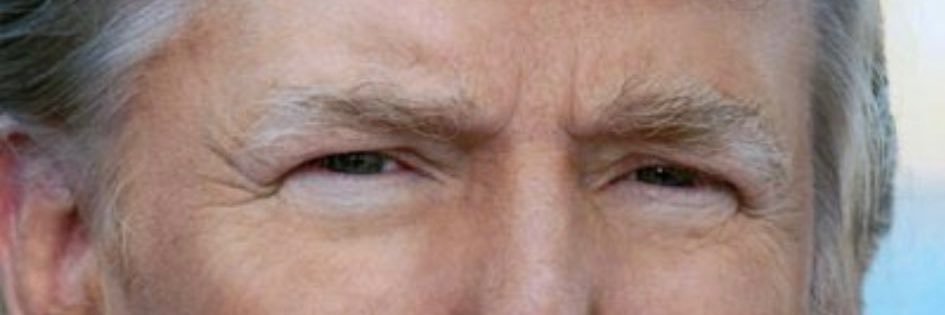 Michelle Of Australia 🇦🇺🌸🍊🐭 banner