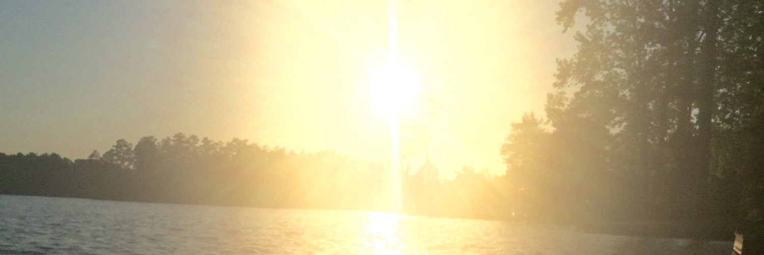 Megan_Ginger's profile banner image