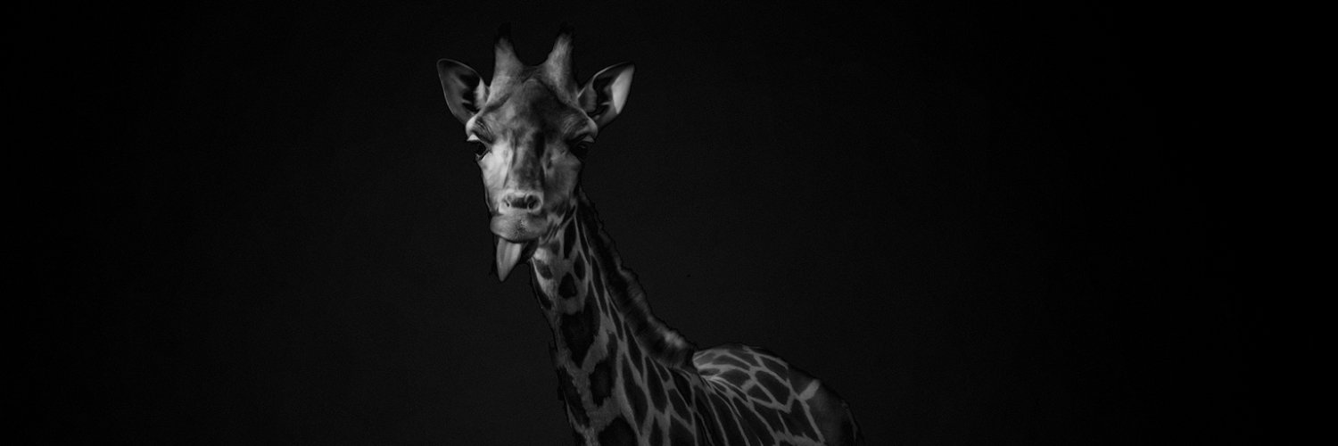 GretaWTF's profile banner image