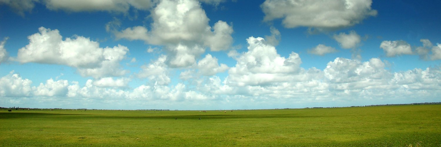 RT_leal's profile banner image