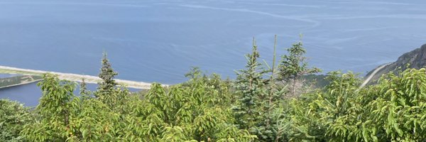 laura_tee_mdgi Profile Banner