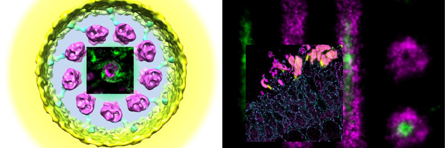 Michael Robichaux banner