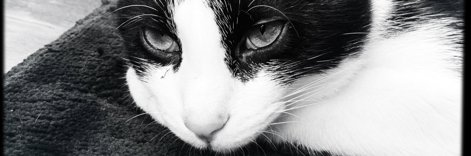 carlmarq's profile banner image