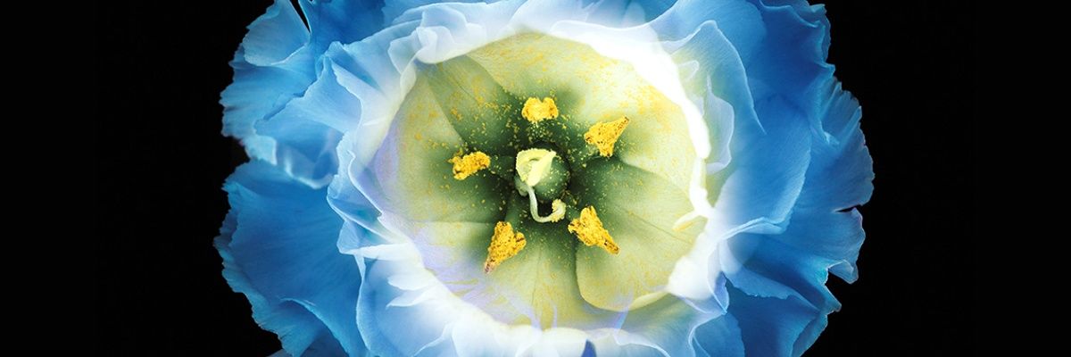 gracyfriday's profile banner image
