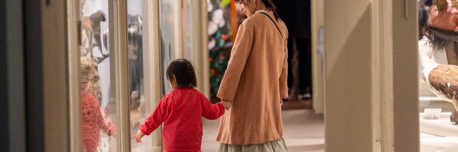 Harvard Museum banner