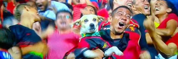 Matheus de Sheila banner