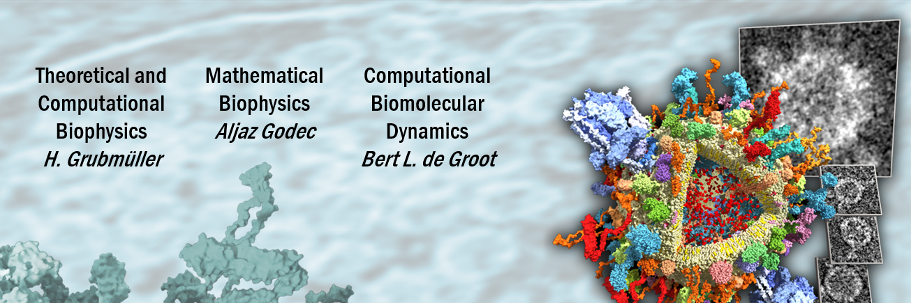 Theoretical & Computational Biophysics Department's banner