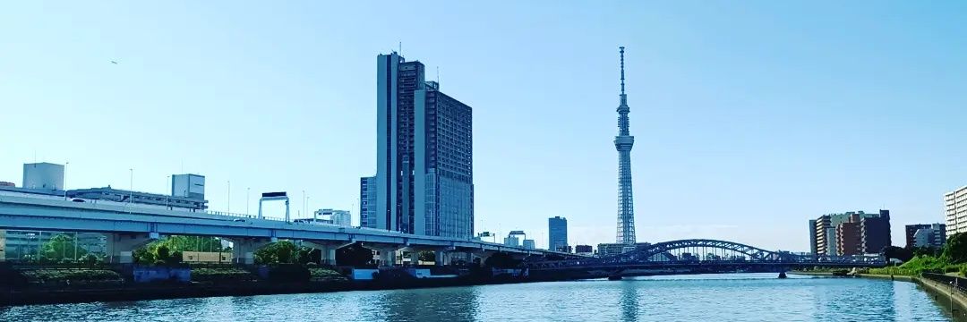 WaBiSaBiWoRkS's profile banner image