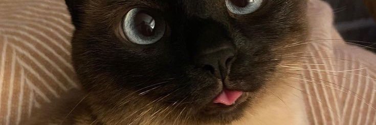 idiomasqueridaa's profile banner image
