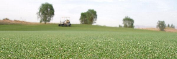 cactusandpine Profile Banner